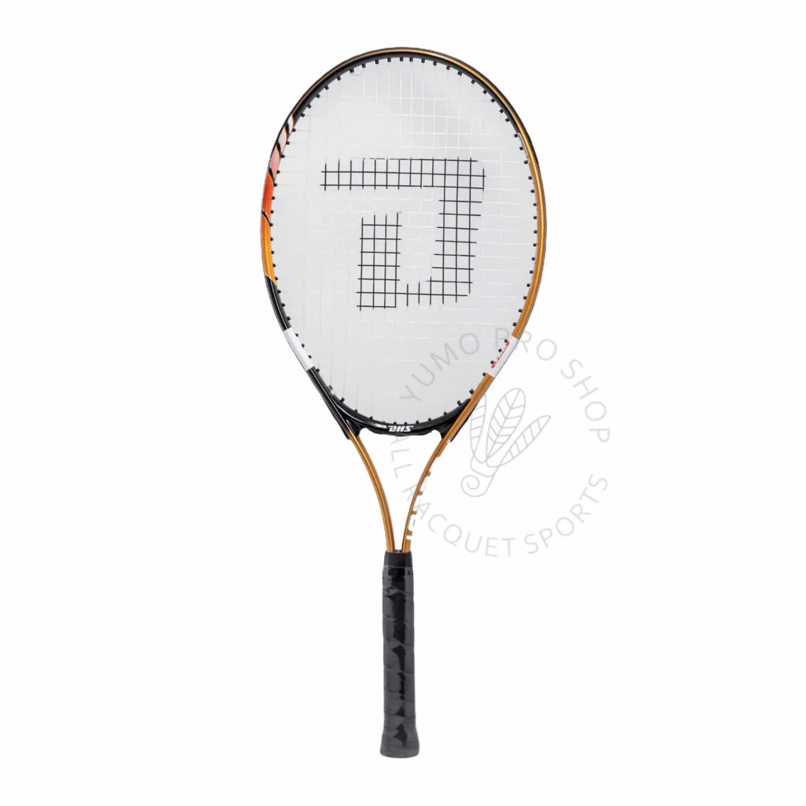 DHS 282 Tennis Racket & Training ball